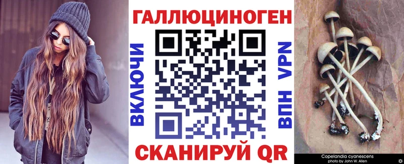 OMG сайт  Ижевск  Псилоцибиновые грибы Psilocybine cubensis 